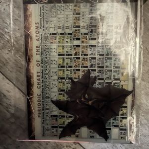 Halloween transparencies